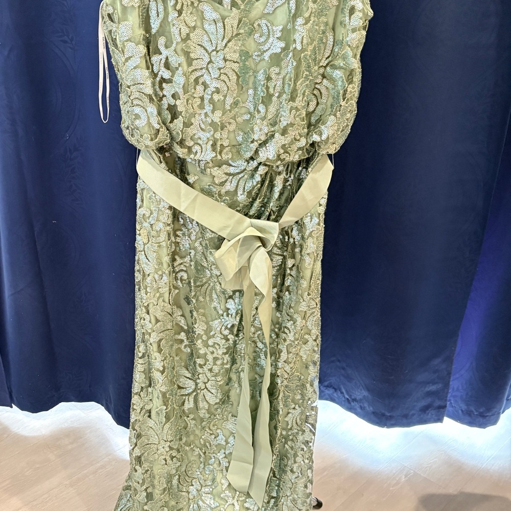 Tadashi Shoji Sage Green Lace Maxi Dress with Sash